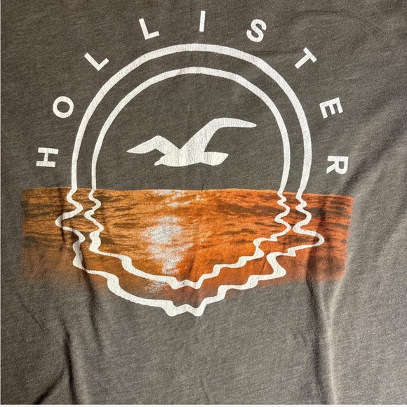 Hollister Gray Sunset Seagull Graphic T-Shirt - Picture 3 of 6